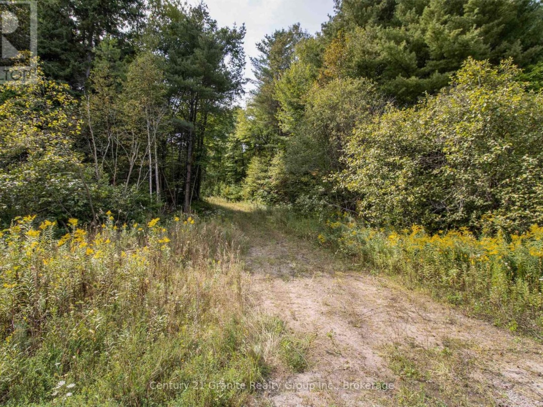 4729 COUNTY ROAD 121, Minden Hills (Lutterworth)