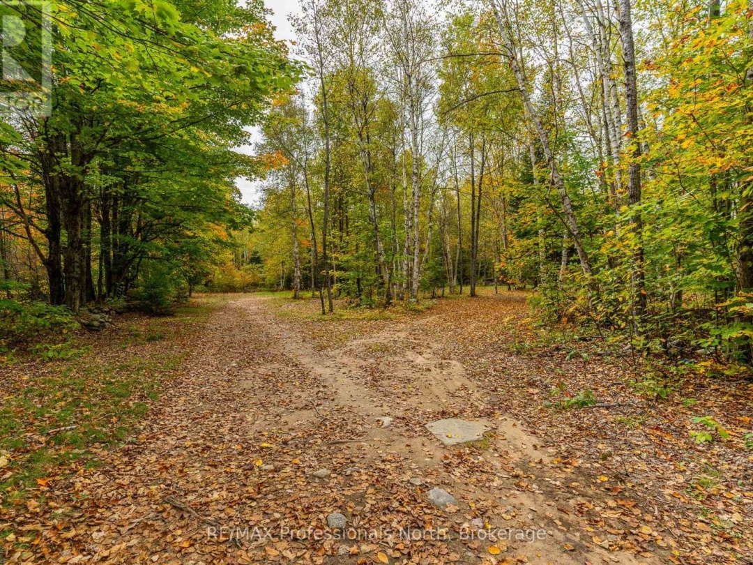 1600 BOBCAYGEON ROAD, Minden Hills (Minden)