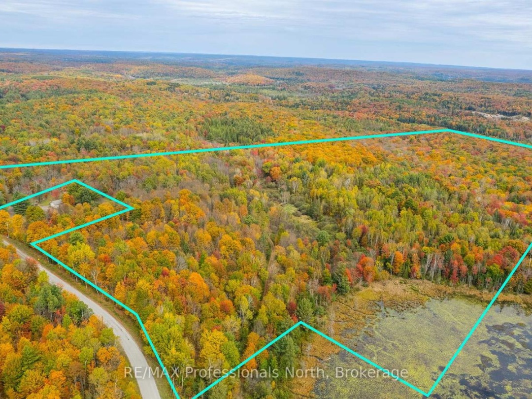 1600 BOBCAYGEON ROAD, Minden Hills (Minden)