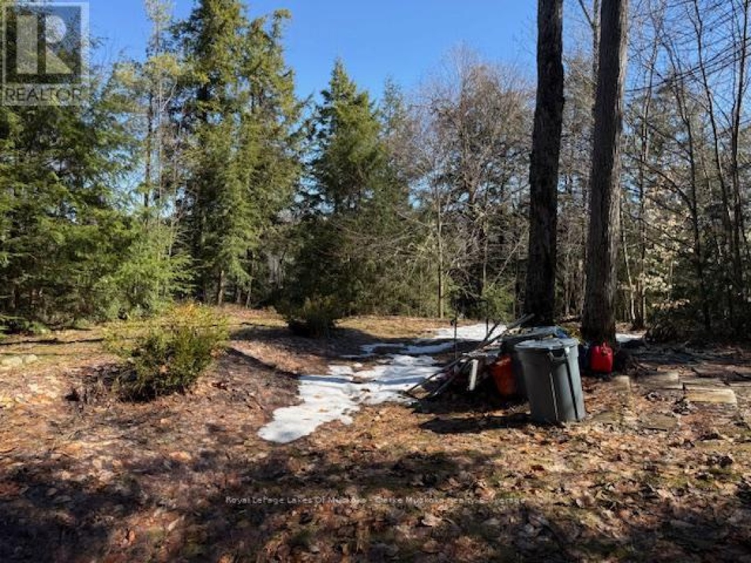 0 SOUTH CRANE LAKE ROAD, Crane Lake
