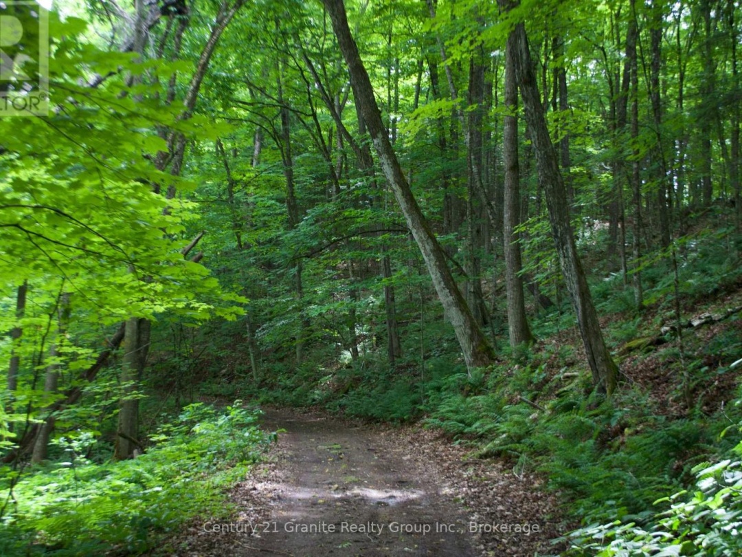 LOT 10 LOON LAKE ROAD S, Loon Lake