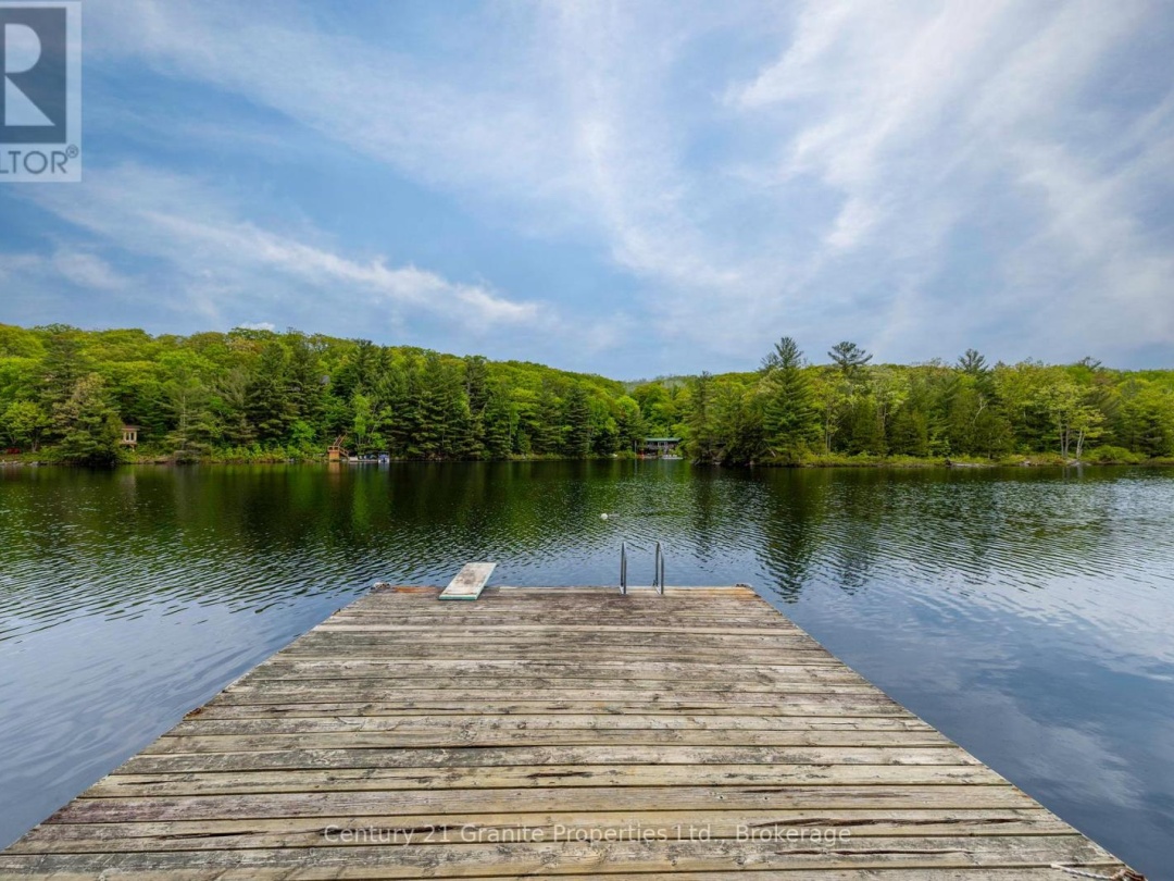 131 DOWNES ROAD, Horseshoe Lake