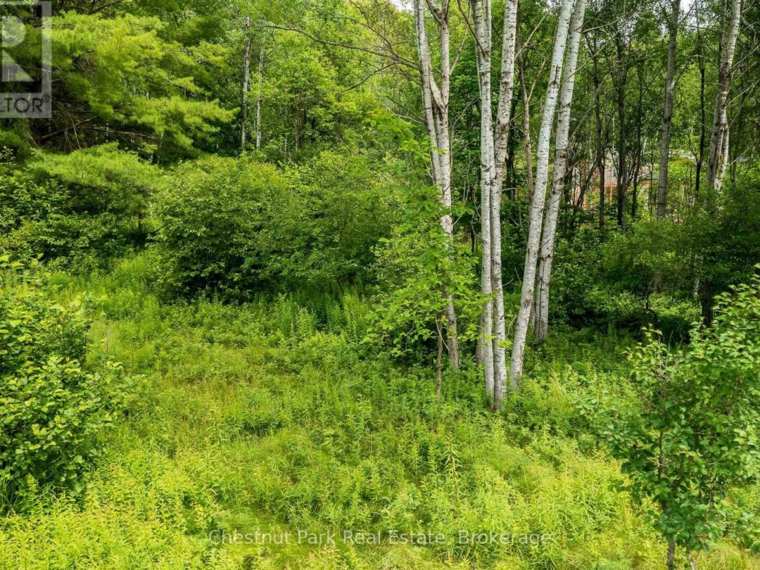17 VERNON LANE, Huntsville (Stisted)