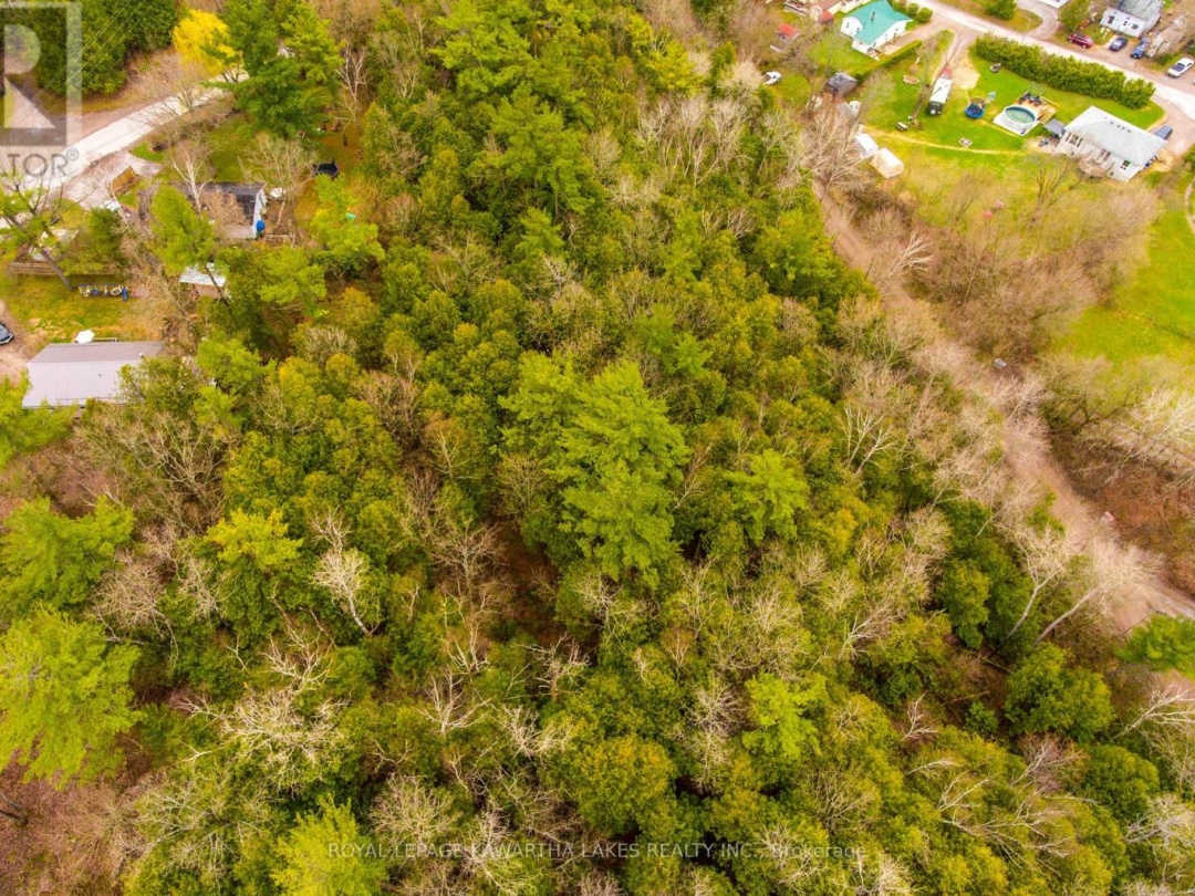LT38-39 SILVER LAKE ROAD, Kawartha Lakes (Somerville)