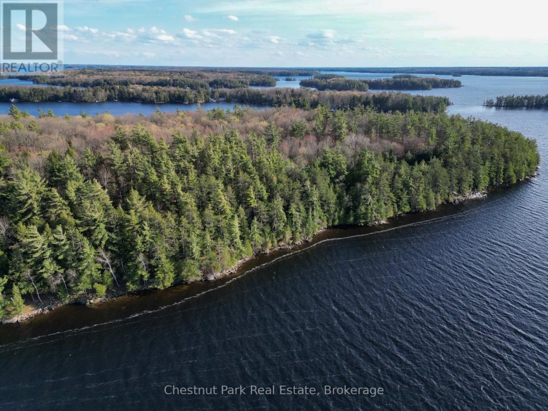 PINE (57 ISLAND M81) ISLAND, Lake Muskoka