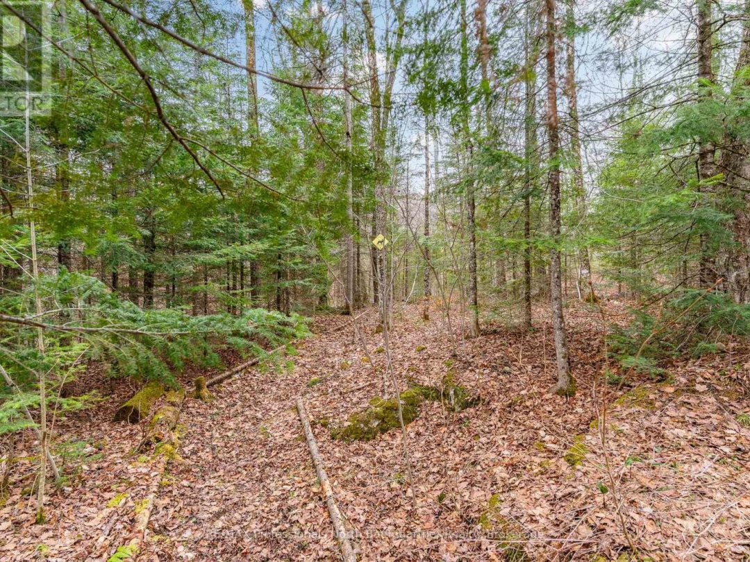 2041 GLAMOR LAKE ROAD, Highlands East (Monmouth)