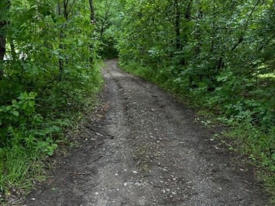 LOT 70 25TH LINE, Maple Lake