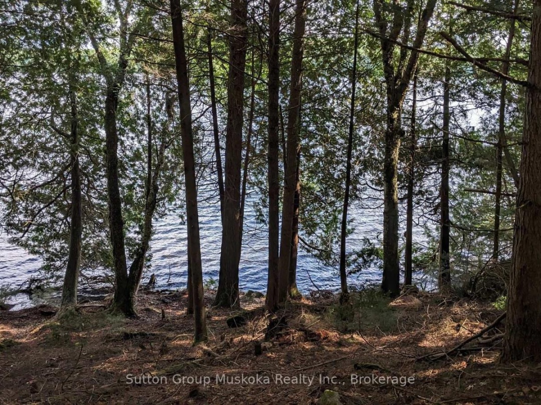LOT 1 ESIG LANE, Rebecca Lake