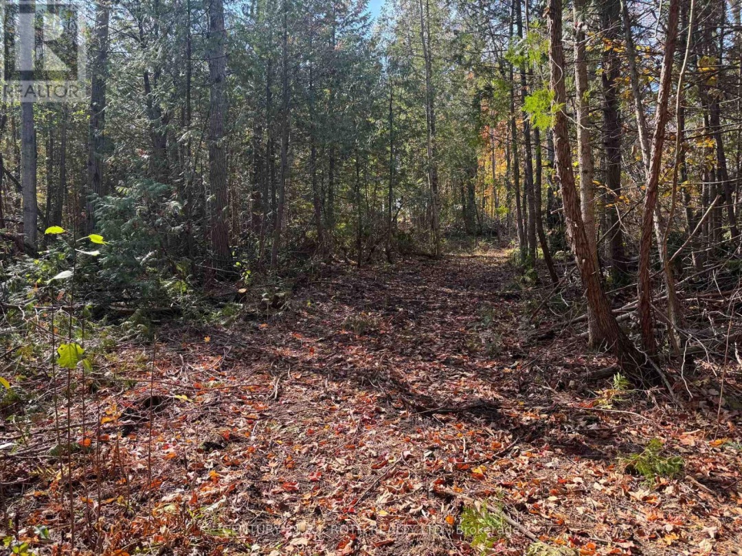 2960 8 LINE, Oro-Medonte