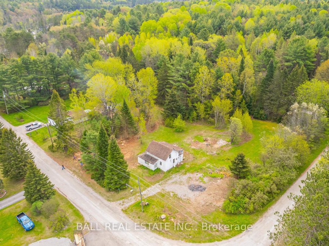 23 The Avenue, Kawartha Lakes