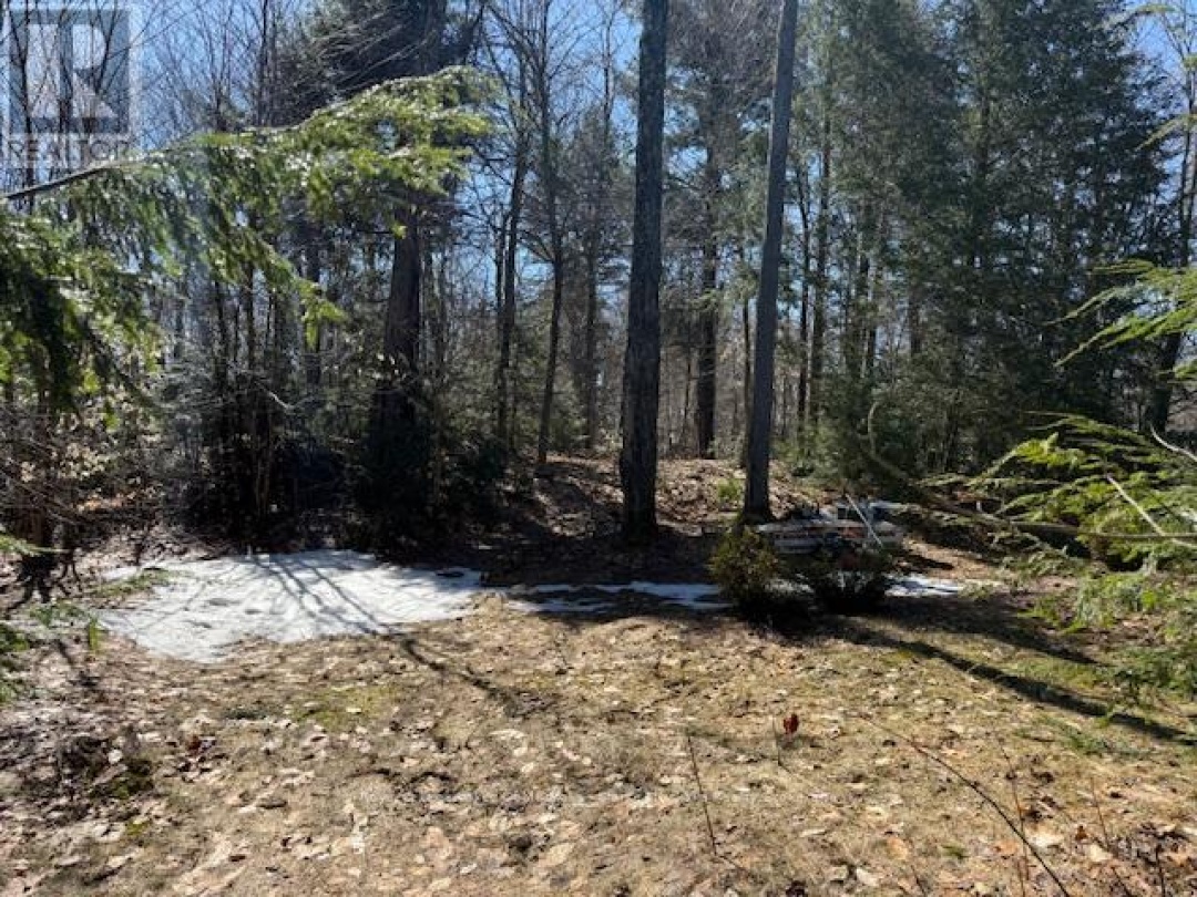 0 SOUTH CRANE LAKE ROAD, Crane Lake