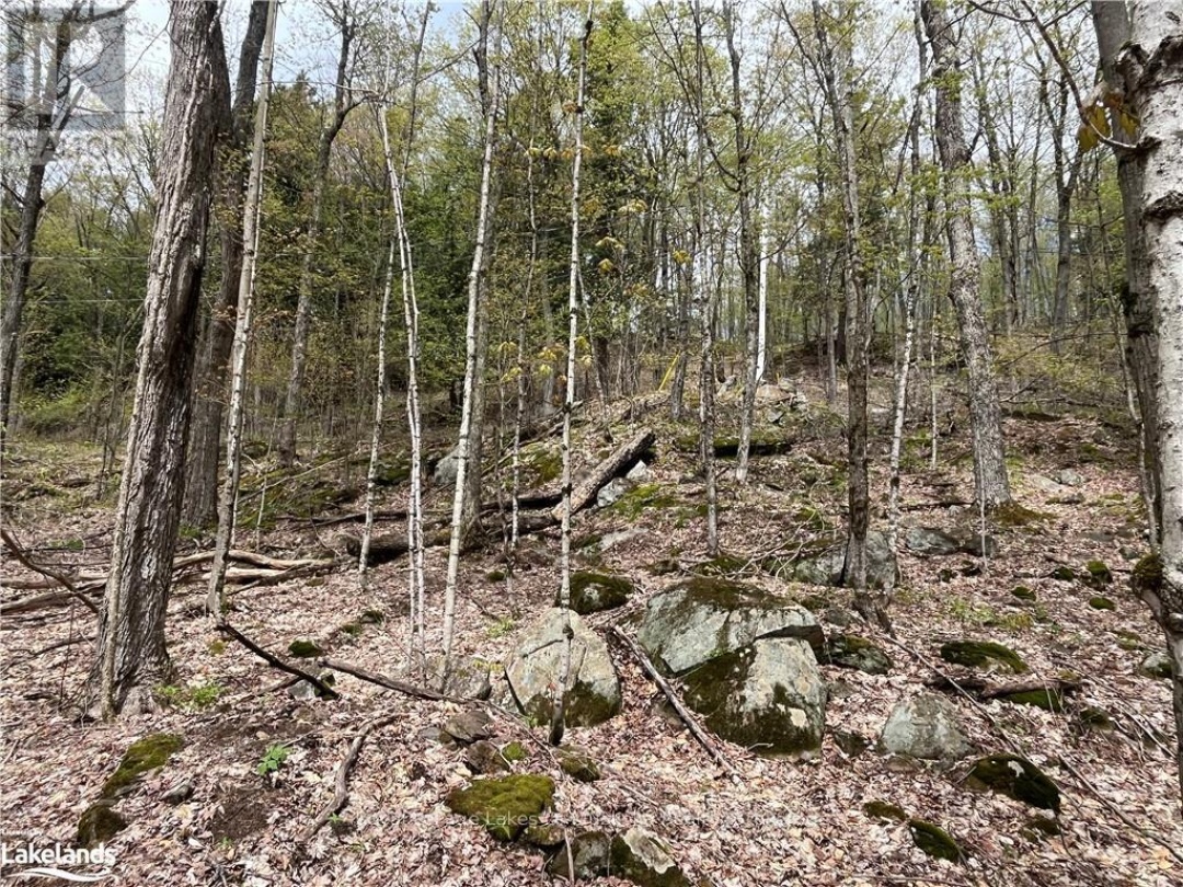 LOT 133 BRENNAN CIRCLE, Lake Vernon