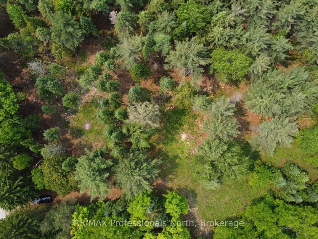 1897 BLAIRHAMPTON ROAD, Minden Hills (Minden)