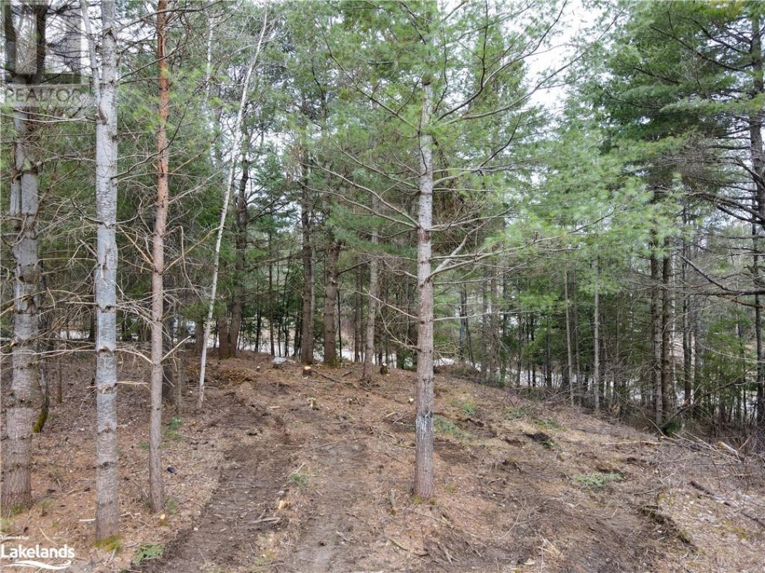 0 Old Muskoka Road Unit# Lot 2, Emsdale