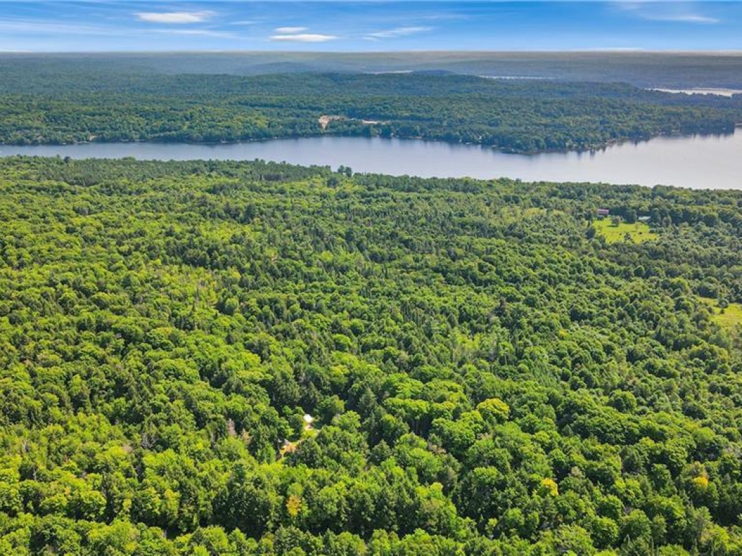 1842 Buckslide Road, Algonquin Highlands