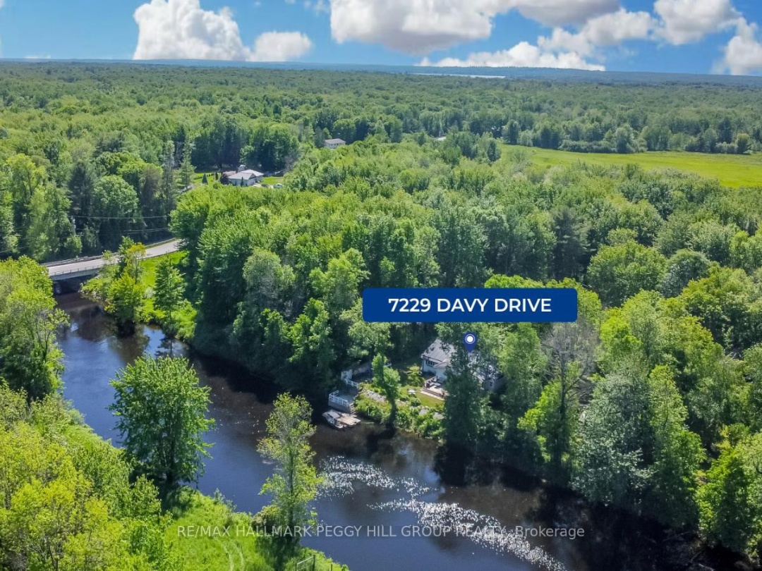 7229 Davy Drive, Black Lake