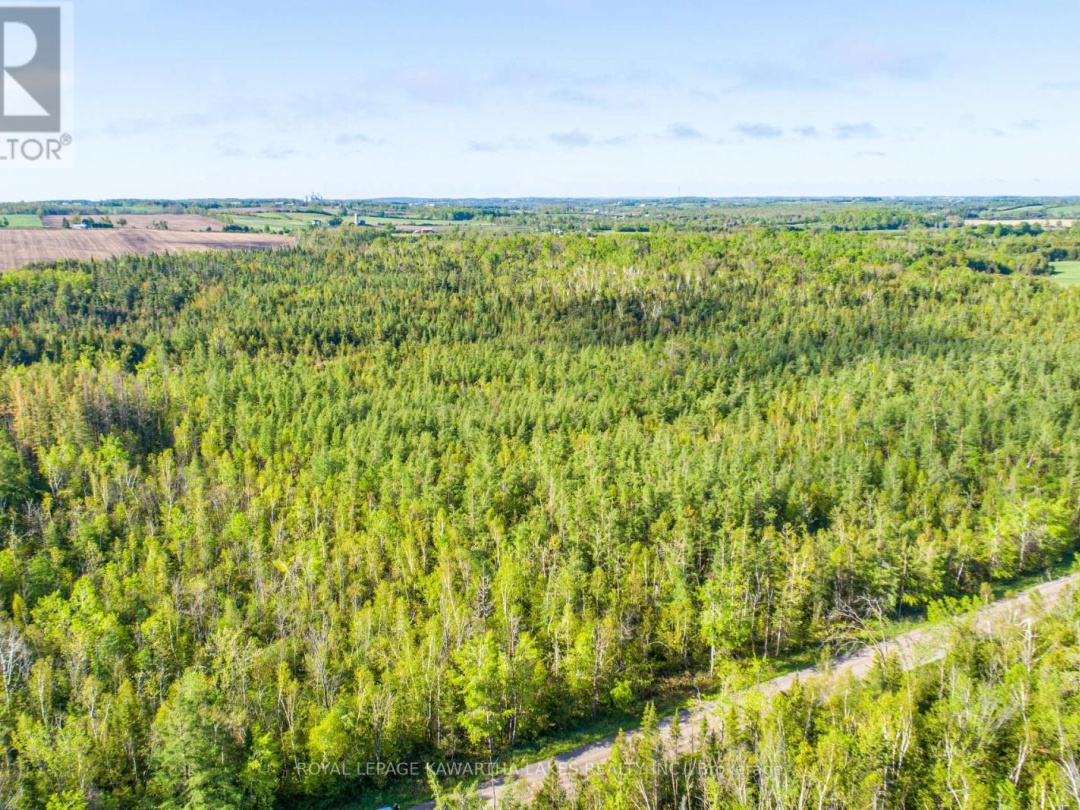 LOT 3 BLACK SCHOOL ROAD, Kawartha Lakes (Mariposa)