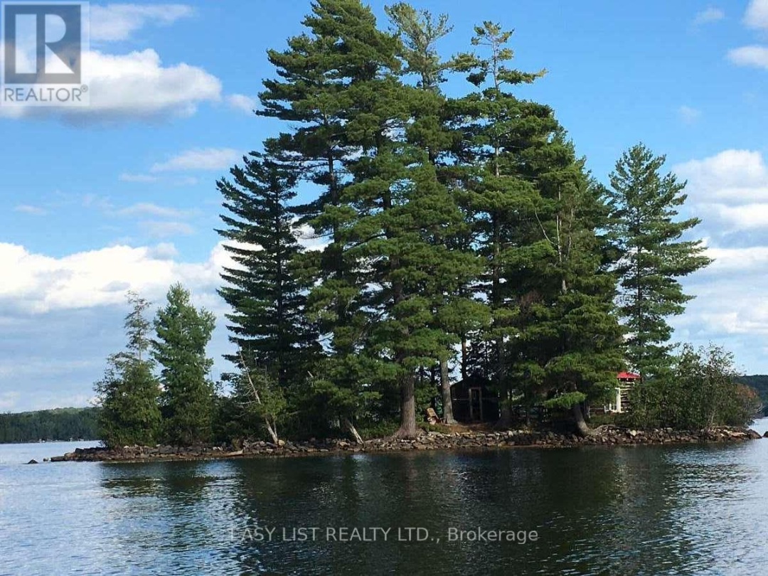 1045 REYNOLDS ROAD, Horseshoe Lake