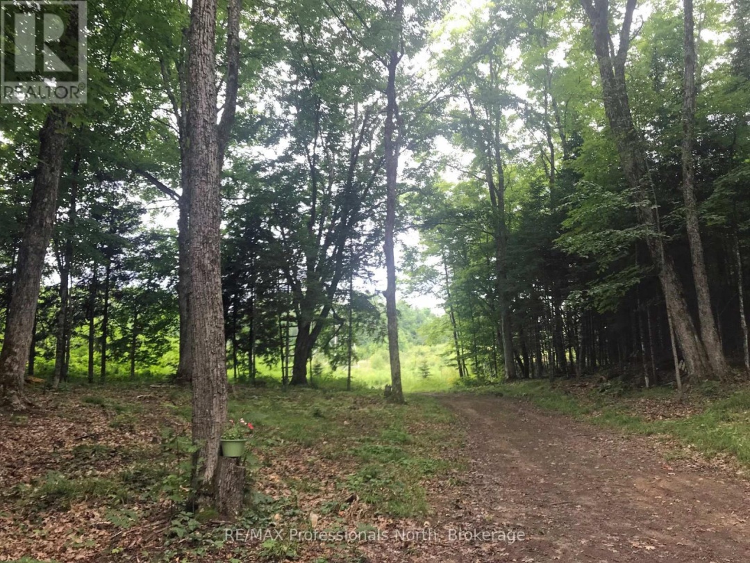 1645 SOUTH LAKE ROAD, Minden Hills (Snowdon)
