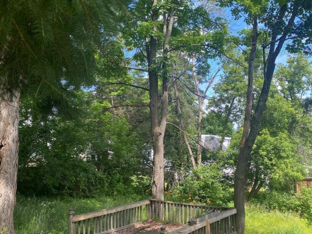 16 CORA STREET E, Huntsville (Chaffey)