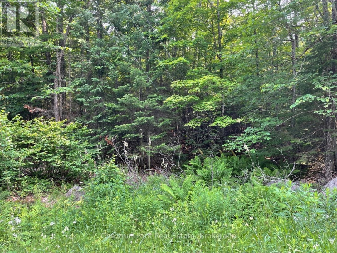 0 COLEMAN LAKE ROAD, Dysart et al (Guilford)