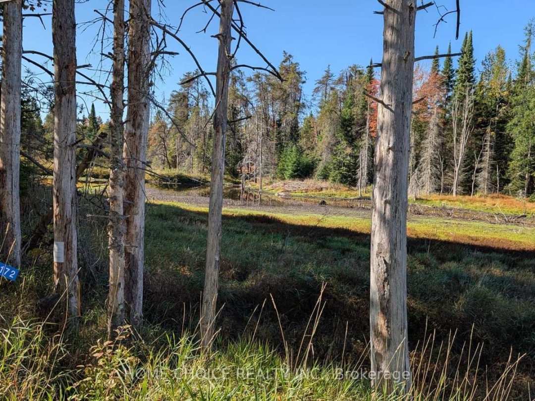 1172 BARKWAY ROAD, Gravenhurst (Ryde)