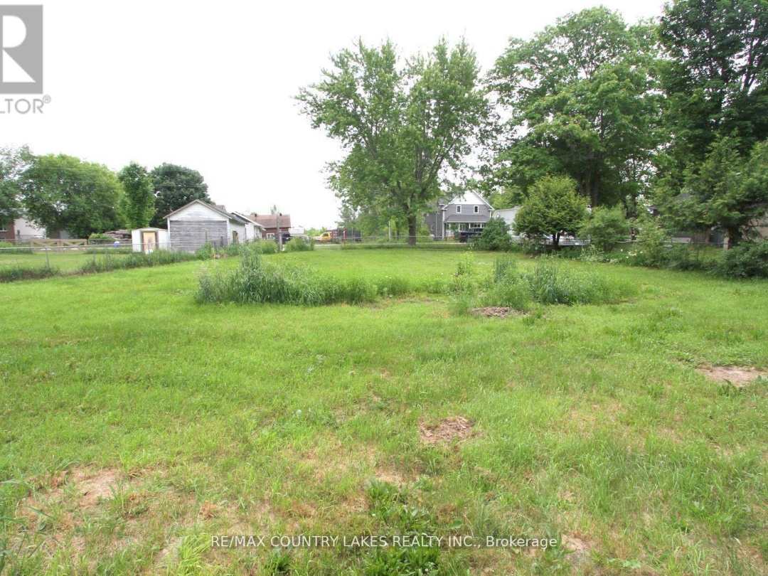 24 Richmond Street W, Kawartha Lakes (Carden)
