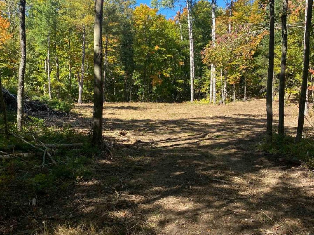 1248 BEIERS ROAD, Gravenhurst (Morrison)