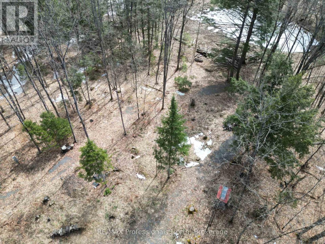 1231 BIG HAWK LAKE ROAD, Algonquin Highlands (Stanhope)