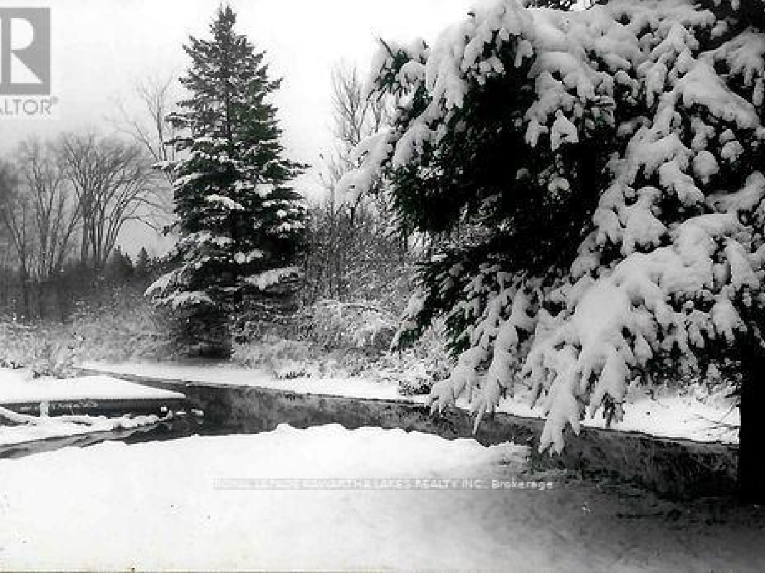 81 MCGUIRE BEACH ROAD, Trent-Severn Waterway