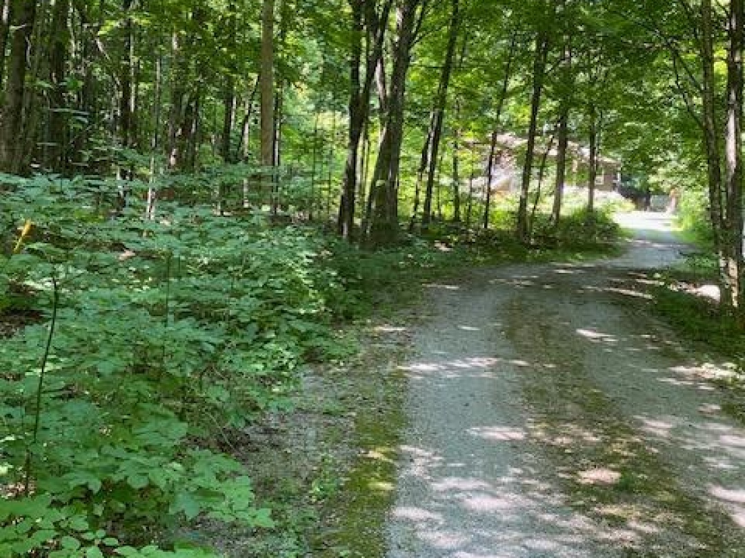 119 ACORN ROAD, Kawartha Lakes (Norland)