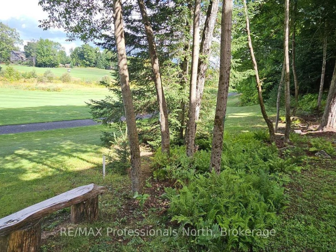 41 CLUBHOUSE DRIVE, 