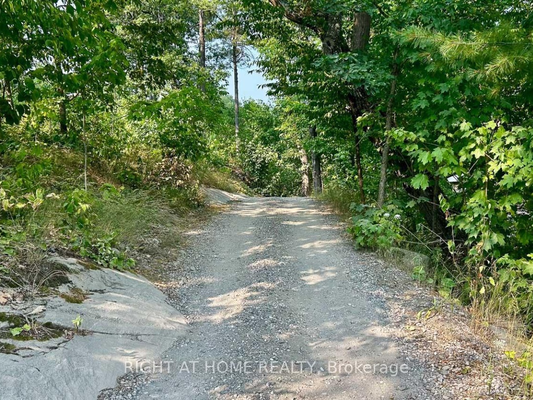 29 MAPLE RIDGE - 1336 SOUTH MORRISON LAKE ROAD, Severn River