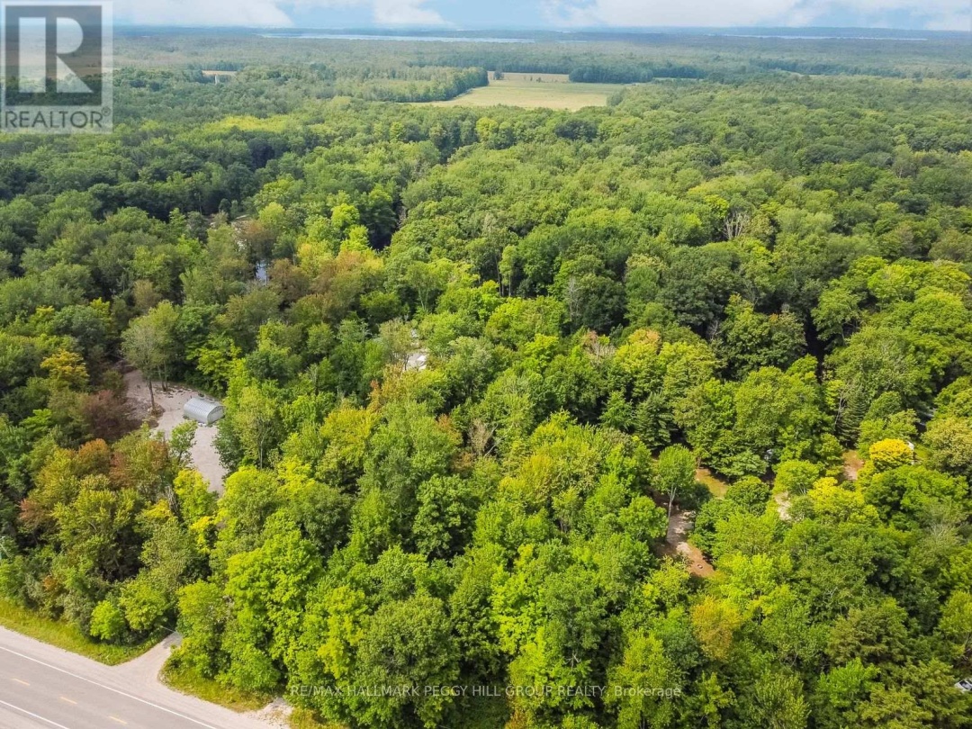 7012 COUNTY ROAD 169, Black River