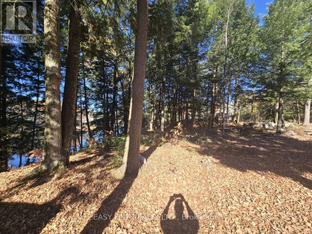 LOT 14 LAIDLAW AVENUE, Severn River