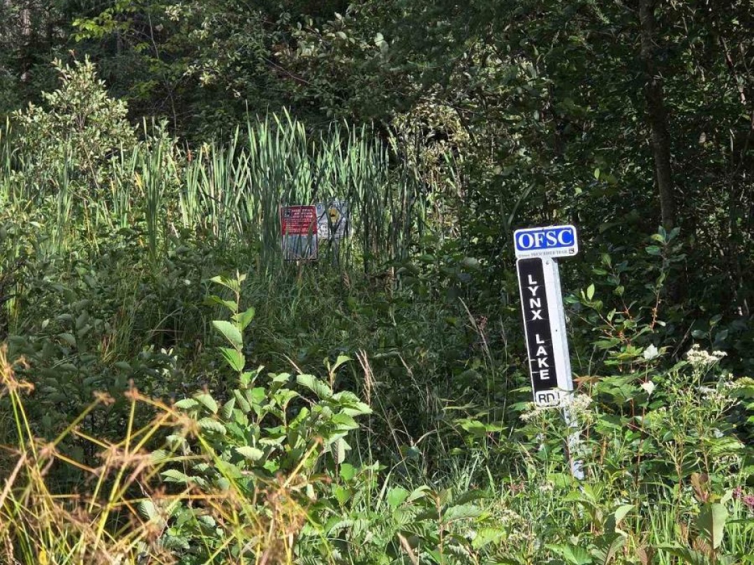 671 LYNX LAKE ROAD, 