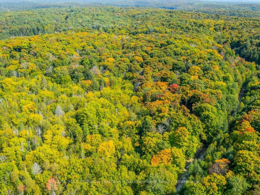 LOT 49 BASSHAUNT LAKE ROAD, 