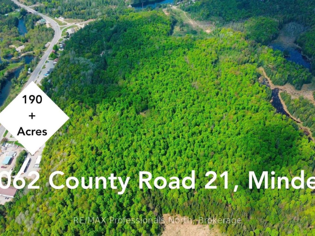 1062 County Road 21, Minden Hills (Minden)