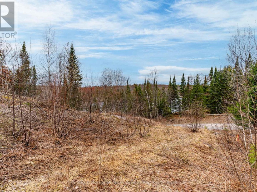 0 BRADY LAKE ROAD, Brady Lake