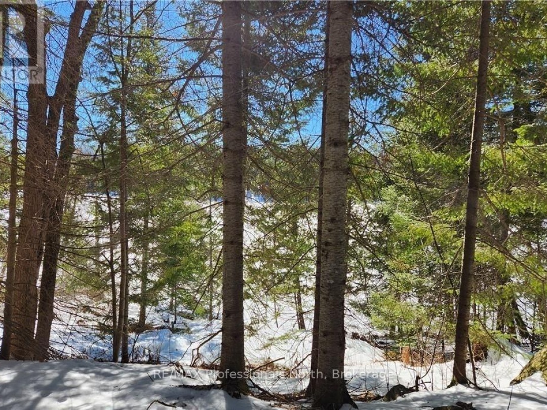 0 POVERTY BAY TRAIL, Soyers Lake