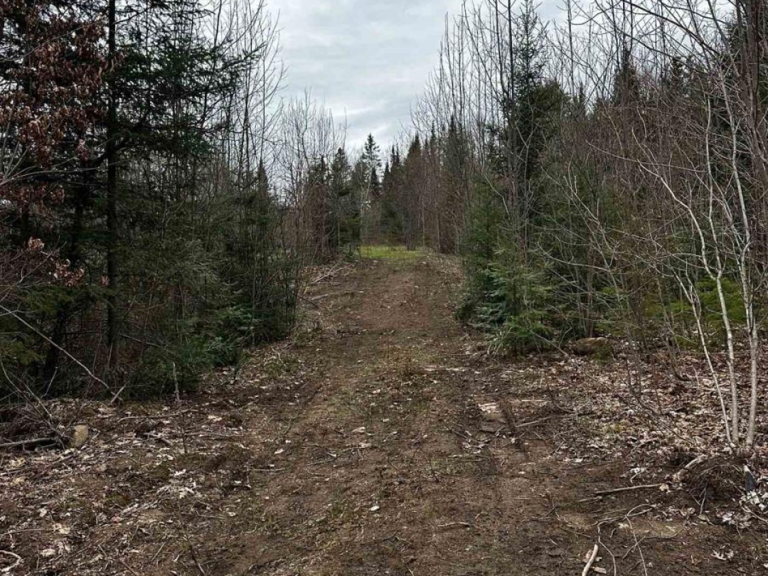 1527 MADILL ROAD, Highlands East (Monmouth)