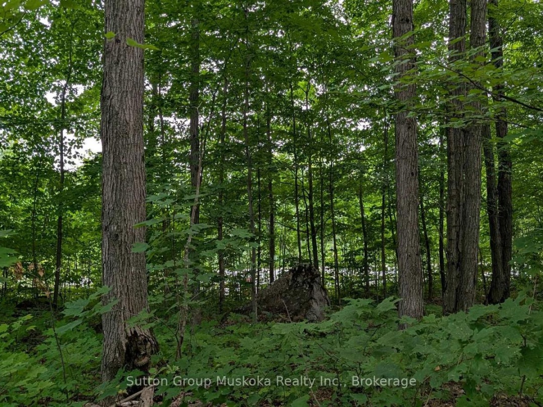 837 ASPDIN ROAD, Huntsville (Chaffey)