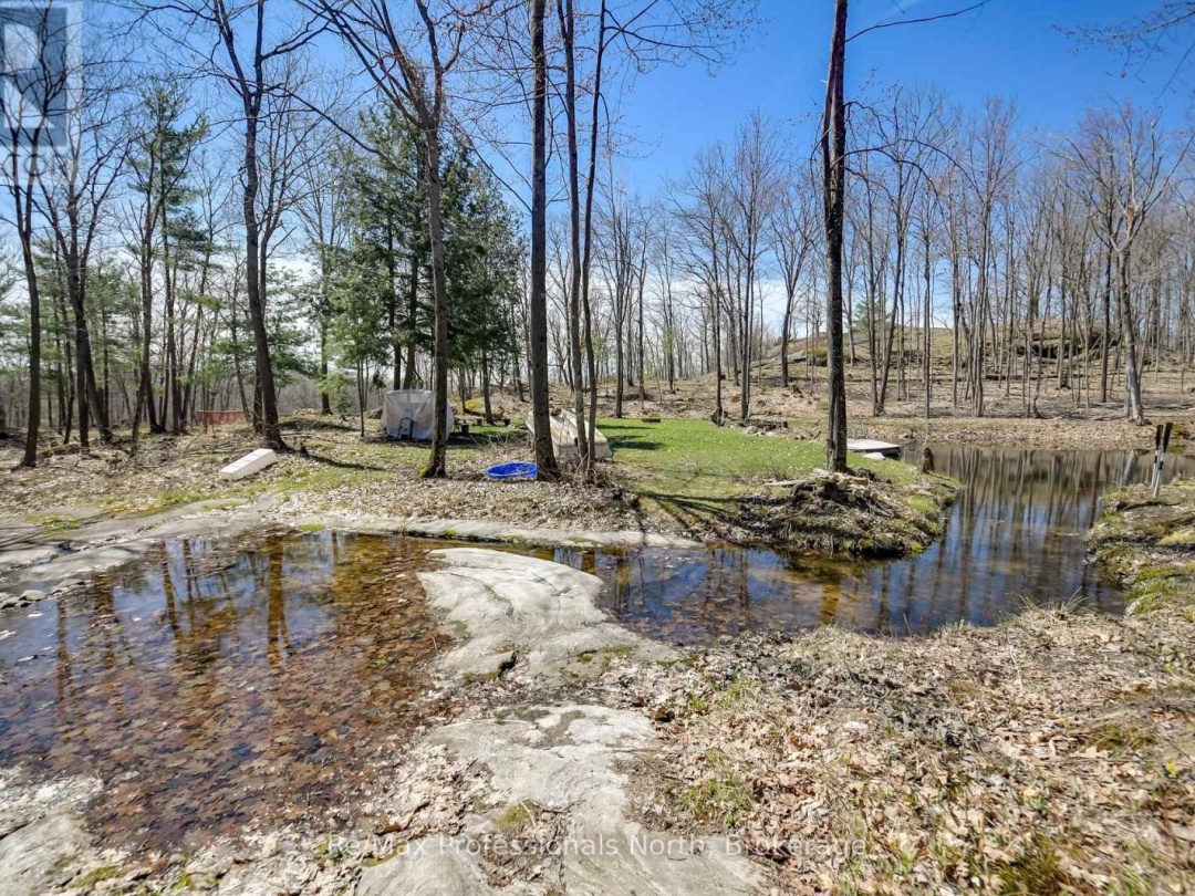 1017 BARLOCHAN ROAD, Muskoka Lakes (Wood (Muskoka Lakes))