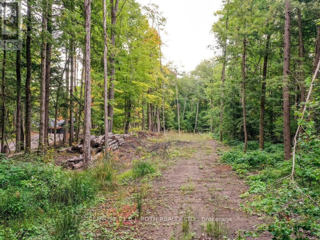1019 DAVIS DRIVE, 