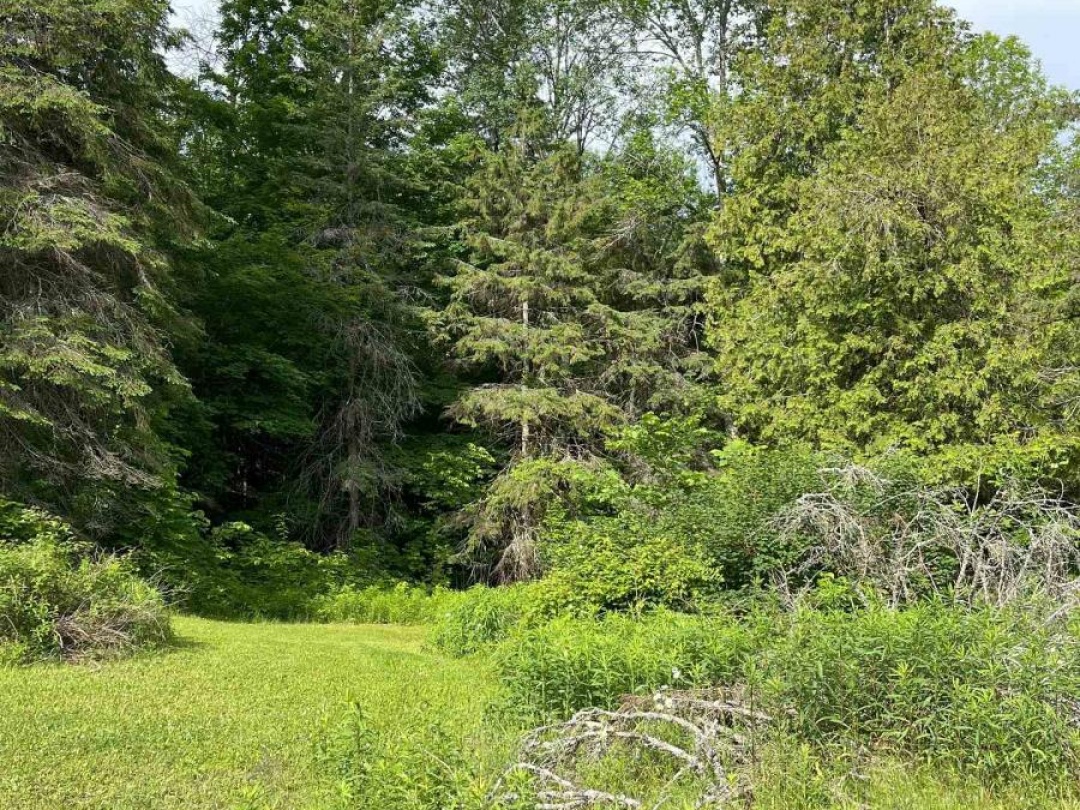 1329 DUCK LAKE ROAD, Minden Hills (Minden)