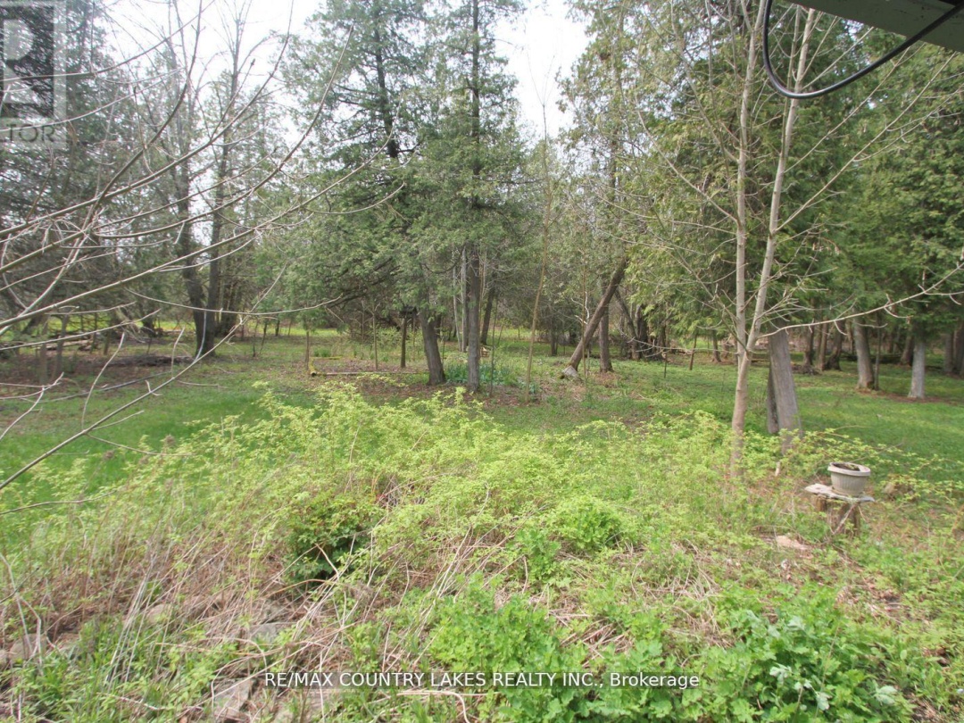 B40440 SHORE ROAD, Lake Simcoe