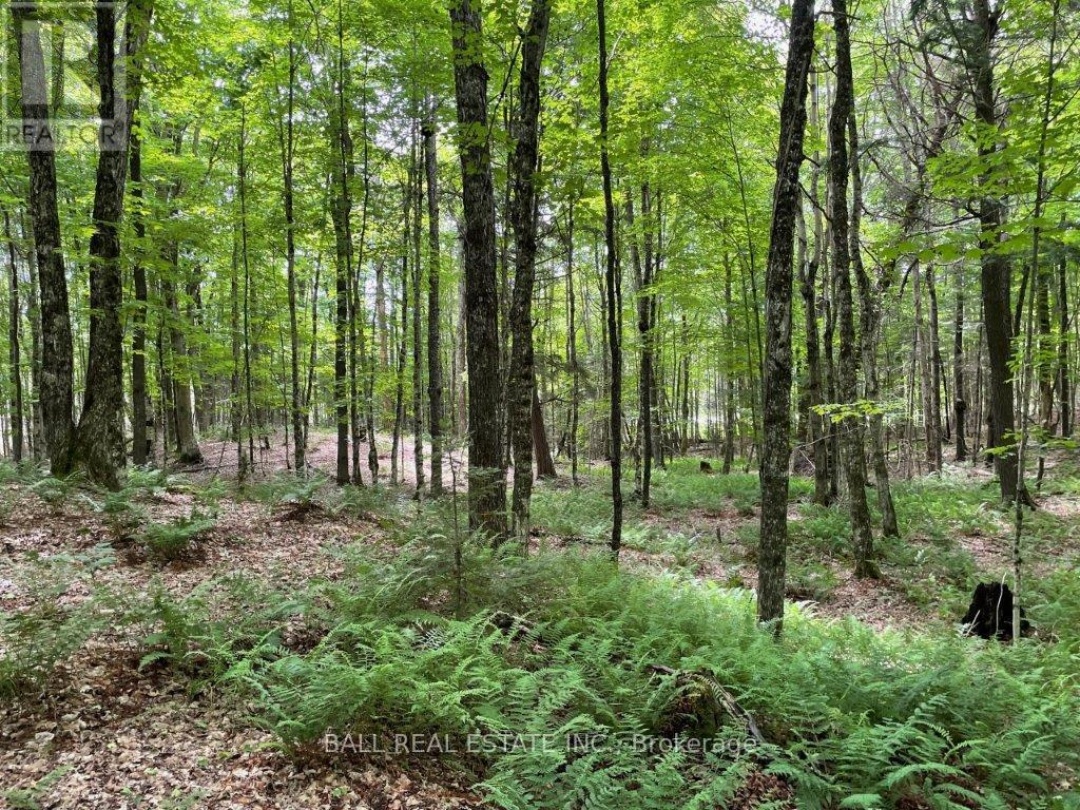 1350 HALIBURTON LAKE RD, Dysart et al (Dysart)