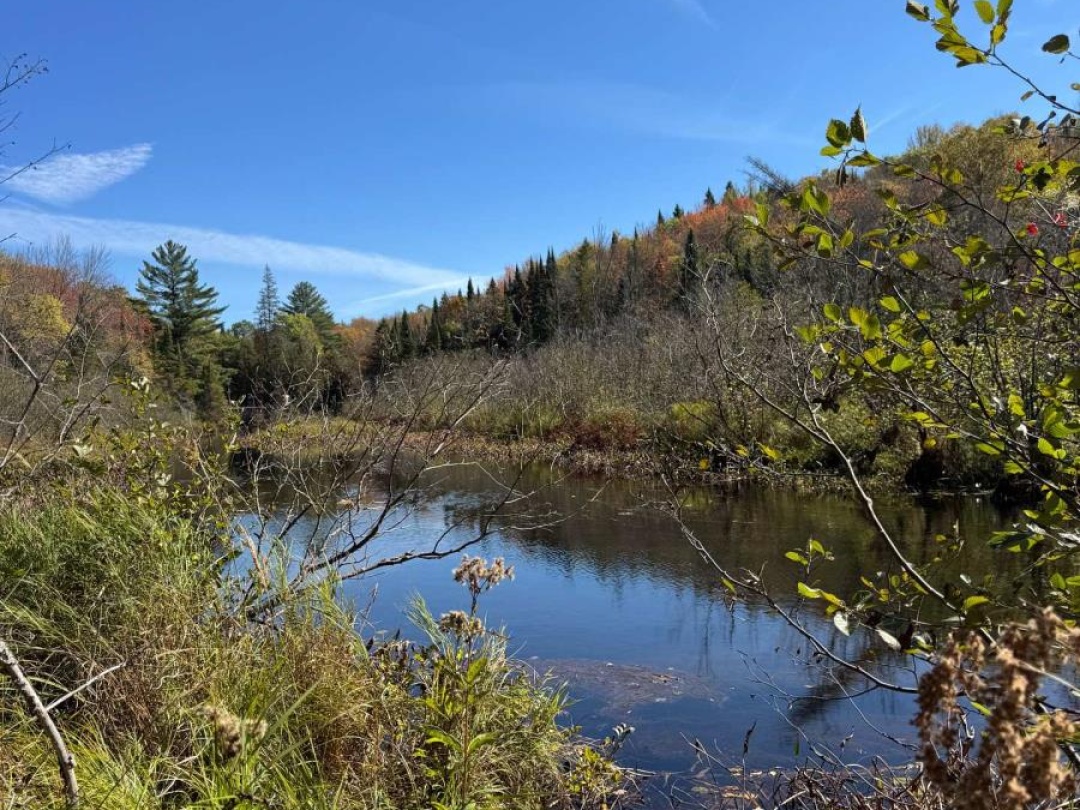 0000 KOSHLONG LAKE ROAD, 
