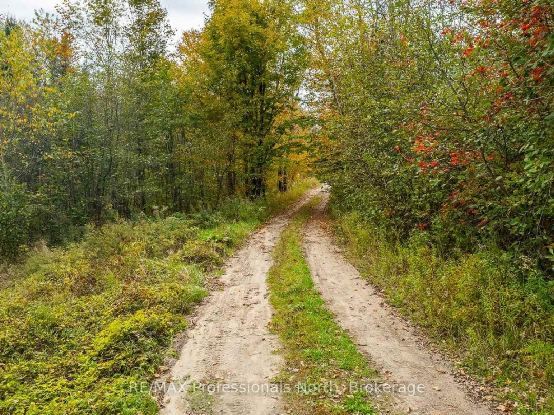 1600 BOBCAYGEON ROAD, Minden Hills (Minden)