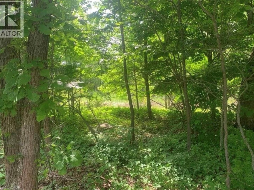 LOT 12 SUTER Drive, Kawartha Lakes